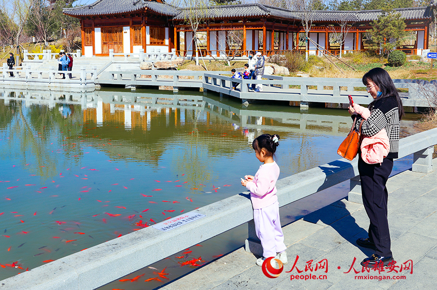 雄安悅容公園一角，不少家長帶著孩子前來游玩。人民網?宋燁文攝