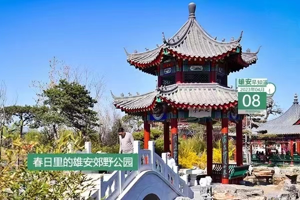                         ●雄安新區黨工委2023年第一輪巡察完成進駐。●雄忻高鐵雄保段計到明年實現大橋主體全部完工。●雄安公安政務服務事項可“一站式辦結”。●創新公章刻制備案管理，雄安出臺新措施。???            