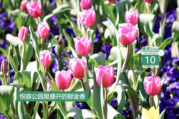             ●雄安新區管委會與中國兒童中心簽署戰略合作協議。●河北新官宣：加快建設雄安新區全球創新高地。●雄安自助辦系統投用，可辦53項本地事項。●雄安容西片區有了“健康小屋”。???            