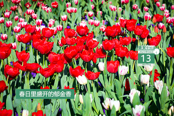             ●“雄創計劃”來了，最高可得600萬啟動資金。●世界首創！新型地熱能發電系統在雄安試車。●白洋淀“水上巴士”預計本月底運行。●雄安一企業招聘24人，報名截至5月20日。???            