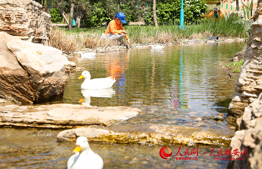 雄安辛瑪森林動物樂園內景。人民網?宋燁文攝