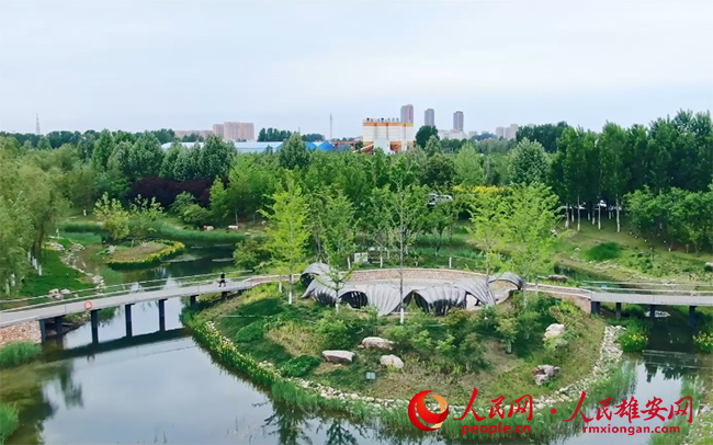 圖為容城縣公園一角。容城縣園林綠化管理中心供圖