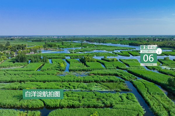                         ●深圳：不斷加強與雄安建設的對接聯動，深化各領域深層次務實合作。●雄安新區職工住房公積金繳存基數有調整。●重點解決社區內問題，雄安容東探索建立“一呼聯應”機制。●雄安新區中考成績一分一檔統計表公布。 