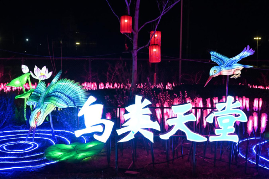 安新縣元宵燈會現場。張學農 攝