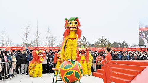 1月31日，“春節·雄安獅舞大會”精彩啟幕。圖為雄安洪亮龍獅隊正在表演《金珠鬧春》。本報記者 郝金鈺攝