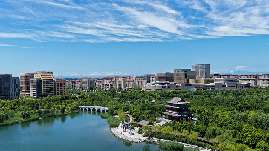 雄安金湖公園。齊鑫攝