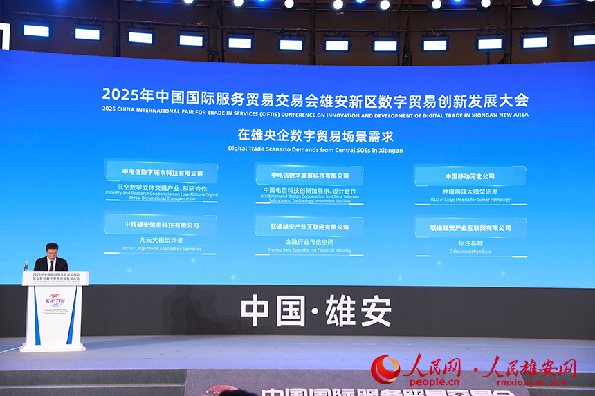 在雄央企數字貿易場景需求發布。人民網記者 宋燁文攝