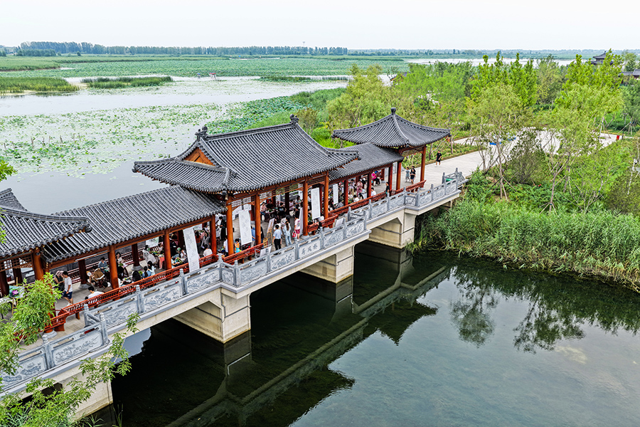 雄安新區燕南堤荷風橋。胡忠攝